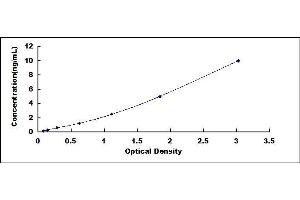 Typical standard curve (STEAP2 ELISA 试剂盒)