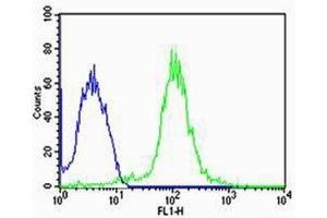 Flow cytometric analysis of MCF-7 cells using TUBA6 antibody (green) compared to an isotype control of rabbit IgG (blue); Ab was diluted at 1:25 dilution. (TUBA1C 抗体  (N-Term))