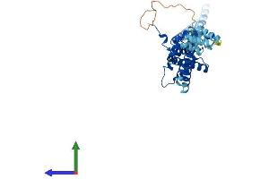 Protein Structure (PS) image for Cell Division Cycle 37 Homolog (S. Cerevisiae) (CDC37) (AA 1-379) protein (His tag) (ABIN7557660)