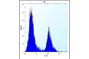 IRF4 Antibody (Center) (ABIN656568 and ABIN2845828) flow cytometric analysis of 293 cells (right histogram) compared to a negative control cell (left histogram). (IRF4 抗体  (AA 164-191))
