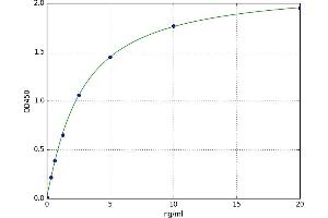 Gonadotropin-Releasing Hormone Receptor (GNRHR) ELISA Kit