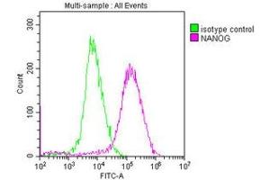 Flow Cytometry (FACS) image for anti-Nanog Homeobox (NANOG) (AA 1-305) antibody (ABIN7155816)