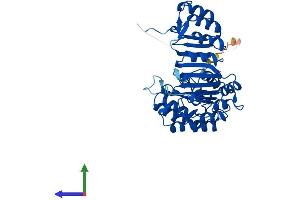 AlphaFold protein structure predicition of Mouse Recombinant Fbxl3 Protein, UniprotID Q8C4V4