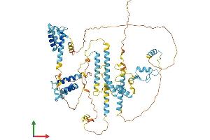 Protein Structure (PS) image for Splicing Factor 4 (SF4) (AA 1-645) protein (His tag) (ABIN7544051)
