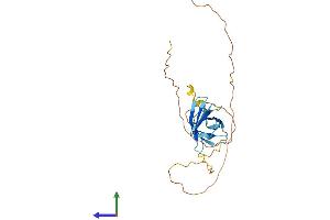 Protein Structure (PS) image for GAR1 Ribonucleoprotein Homolog (Yeast) (GAR1) (AA 1-231) protein (His tag) (ABIN7560746)