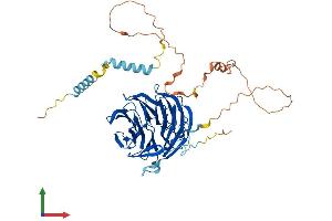 Protein Structure (PS) image for Pleiotropic Regulator 1 (PLRG1) (AA 1-513) protein (His tag) (ABIN7560242)