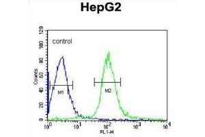 Flow Cytometry (FACS) image for anti-Microsomal Glutathione S-Transferase 2 (MGST2) antibody (ABIN3003945) (MGST2 抗体)