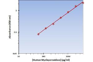 This is an example of what a typical standard curve will look like. (Myeloperoxidase ELISA 试剂盒)