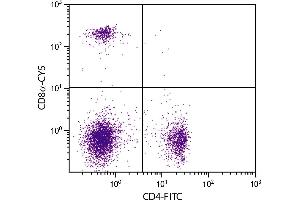 BALB/c mouse splenocytes were stained with Rat Anti-Mouse CD8α-CY5. (CD8 alpha 抗体  (Cy5))