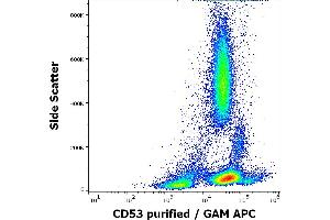 Flow cytometry surface staining pattern of human peripheral blood stained using anti-human CD53 (MEM-53) purified antibody (concentration in sample 3 μg/mL, GAM APC). (CD53 抗体)