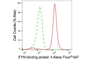 Flow cytometric analysis of FYN binding protein 1 expression in H9c2 cells using FYN binding protein 1 antibody (ABIN7798672), 1:2,000). (Recombinant FYB1 抗体)