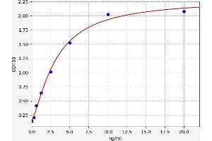 Typical standard curve (C4A ELISA 试剂盒)