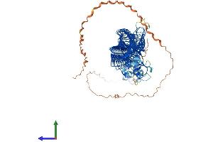 AlphaFold protein structure predicition of Mouse Recombinant Fbxo11 Protein, UniprotID Q7TPD1