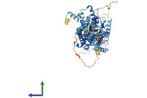 Protein Structure (PS) image for Solute Carrier Family 26, Member 5 (Prestin) (SLC26A5) (AA 1-744) protein (His tag) (ABIN7564920)
