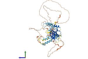 Protein Structure (PS) image for Grainyhead-Like 3 (GRHL3) (AA 1-626) protein (His tag) (ABIN7554037)