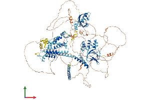 Protein Structure (PS) image for Potassium Voltage-Gated Channel, Subfamily H (Eag-Related), Member 7 (KCNH7) (AA 1-1196) protein (His tag) (ABIN7554247)
