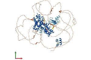 Protein Structure (PS) image for Cas-Br-M (Murine) Ecotropic Retroviral Transforming Sequence (CBL) (AA 1-906) protein (His tag) (ABIN7553184)