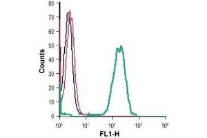 Flow Cytometry (FACS) image for anti-G Protein-Coupled Receptor 37 (Endothelin Receptor Type B-Like) (GPR37) (AA 234-247), (Extracellular) antibody (ABIN7043157)
