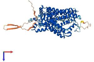 SLC6A3 Protein (AA 1-619) (His tag)