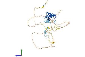AlphaFold protein structure predicition of Human Recombinant EN2 Protein, UniprotID P19622 (EN2 Protein (AA 1-333) (His tag))