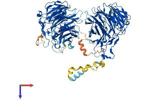 AlphaFold protein structure predicition of Mouse Recombinant Coro7 Protein, UniprotID Q9D2V7 (Coronin 7 Protein (CORO7) (AA 1-922) (His tag))