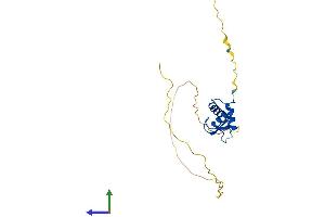 Protein Structure (PS) image for H1 Histone Family, Member 0 (H1F0) (AA 1-194) protein (His tag) (ABIN7548195)