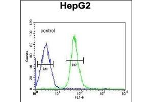 HMGA2 Antibody (C-term) (ABIN1981306 and ABIN2840297) flow cytometric analysis of HepG2 cells (right histogram) compared to a negative control cell (left histogram). (HMGA2 抗体  (C-Term))