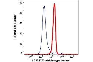 Flow Cytometry (FACS) image for anti-Fc gamma RII (CD32) antibody (FITC) (ABIN2704248) (Fc gamma RII (CD32) 抗体 (FITC))