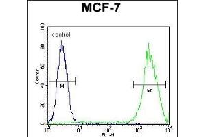LGALS3 Antibody (C-term) (ABIN655879 and ABIN2845280) flow cytometric analysis of MCF-7 cells (right histogram) compared to a negative control cell (left histogram). (Galectin 3 抗体  (C-Term))