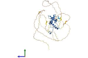 Protein Structure (PS) image for ELK4, ETS-Domain Protein (SRF Accessory Protein 1) (ELK4) (AA 1-430) protein (His tag) (ABIN7563225)