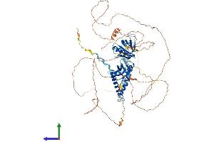 Protein Structure (PS) image for SH2B Adaptor Protein 1 (SH2B1) (AA 1-756) protein (His tag) (ABIN7555459)