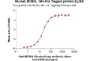 ELISA image for Tumor Necrosis Factor Receptor Superfamily, Member 17 (TNFRSF17) (AA 1-54) protein (Fc-His Tag) (ABIN6961074)