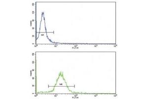Flow cytometric analysis of MDA-231 cells using WNT10B antibody (green) (WNT10B 抗体  (AA 193-222))