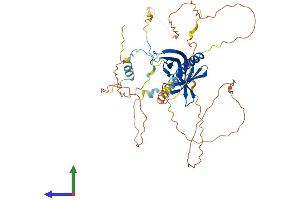 AlphaFold protein structure predicition of Human Recombinant RANBP3L Protein, UniprotID Q86VV4