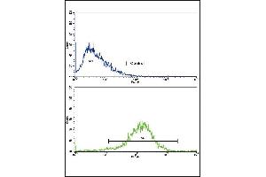 Flow Cytometry (FACS) image for anti-N-Acetyltransferase 2 (Arylamine N-Acetyltransferase) (NAT2) (AA 226-254), (C-Term) antibody (ABIN652275)