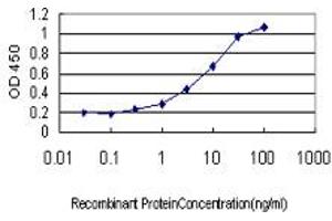 Detection limit for recombinant GST tagged TFRC is approximately 0. (Transferrin Receptor 抗体  (AA 68-168))