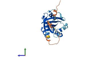 Protein Structure (PS) image for RAB19, Member RAS Oncogene Family (RAB19) (AA 1-217) protein (His tag) (ABIN7551137)