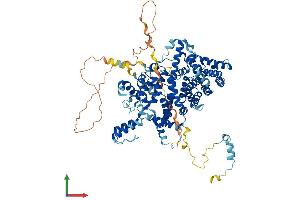 Protein Structure (PS) image for Striatin Interacting Protein 1 (STRIP1) (AA 1-837) protein (His tag) (ABIN7559064)