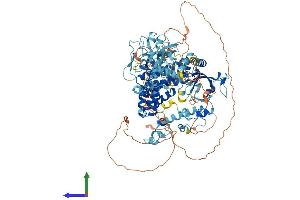 AlphaFold protein structure predicition of Human Recombinant ZC3H7A Protein, UniprotID Q8IWR0