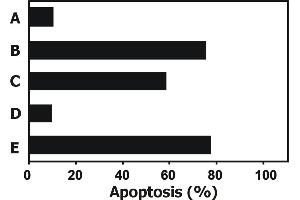 Functional Studies (Func) image for anti-Tumor Necrosis Factor (Ligand) Superfamily, Member 10 (TNFSF10) (AA 95-281) antibody (ABIN2749022)