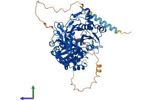 Protein Structure (PS) image for UDP-N-Acetyl-alpha-D-Galactosamine:polypeptide N-Acetylgalactosaminyltransferase 7 (GalNAc-T7) (GALNT7) (AA 1-657) protein (His tag) (ABIN7554003)