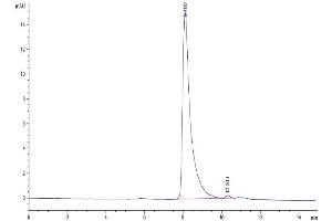 Size-exclusion chromatography-High Pressure Liquid Chromatography (SEC-HPLC) image for Immunoglobulin Superfamily, Member 11 (IGSF11) (AA 23-241) protein (His tag) (ABIN7275046)