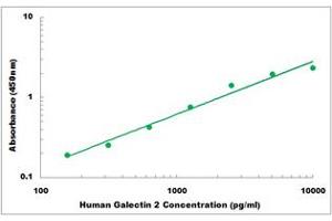 Representative Standard Curve (Galectin 2 ELISA 试剂盒)