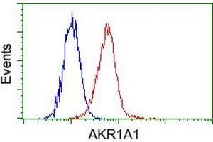Image no. 5 for anti-Aldo-Keto Reductase Family 1, Member A1 (Aldehyde Reductase) (AKR1A1) antibody (ABIN1496544) (AKR1A1 抗体)
