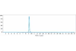 The purity of Anti-PDCD1 / PD-1 / CD279 Reference Antibody (retifanlimab) is more than 95 % , determined by SEC-HPLC. (Recombinant PDCD1 (Retifanlimab Biosimilar) 抗体)