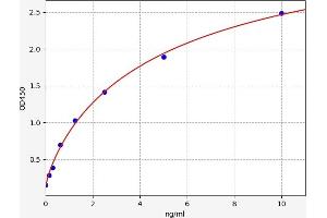 Typical standard curve (XIAP ELISA 试剂盒)