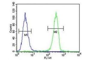 HOXA9 antibody flow cytometric analysis of A375 cells (green) compared to a negative control (blue). (HOXA9 抗体  (AA 245-272))