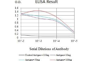 Black line: Control Antigen (100 ng),Purple line: Antigen (10 ng), Blue line: Antigen (50 ng), Red line:Antigen (100 ng) (S100B 抗体  (AA 1-92))