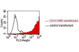FACS analysis of BOSC23 cells using GM2H6. (CEACAM8 抗体)