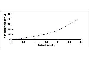 Typical standard curve (OBP2A ELISA 试剂盒)